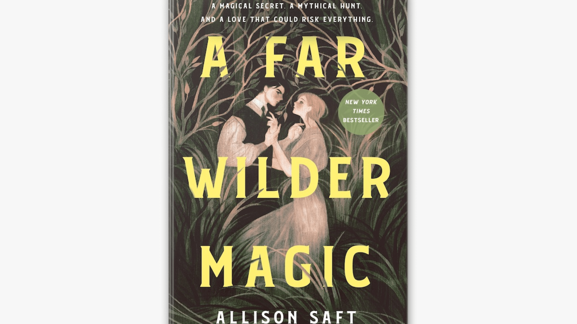 A_Far_Wilder_Magicby_Allison_Saft