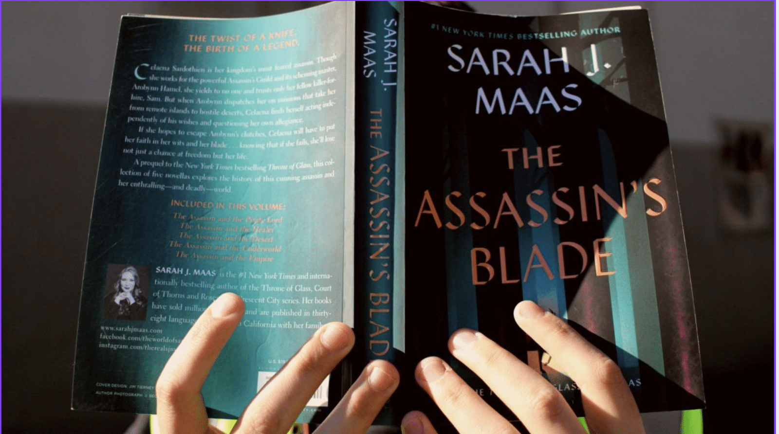 Plot Summary of Assassin's Blade