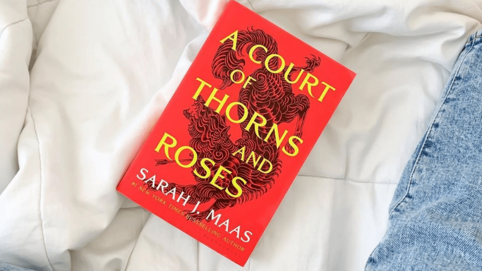 Plot_Summary_ofA_Court_of_Thorns_and_Roses