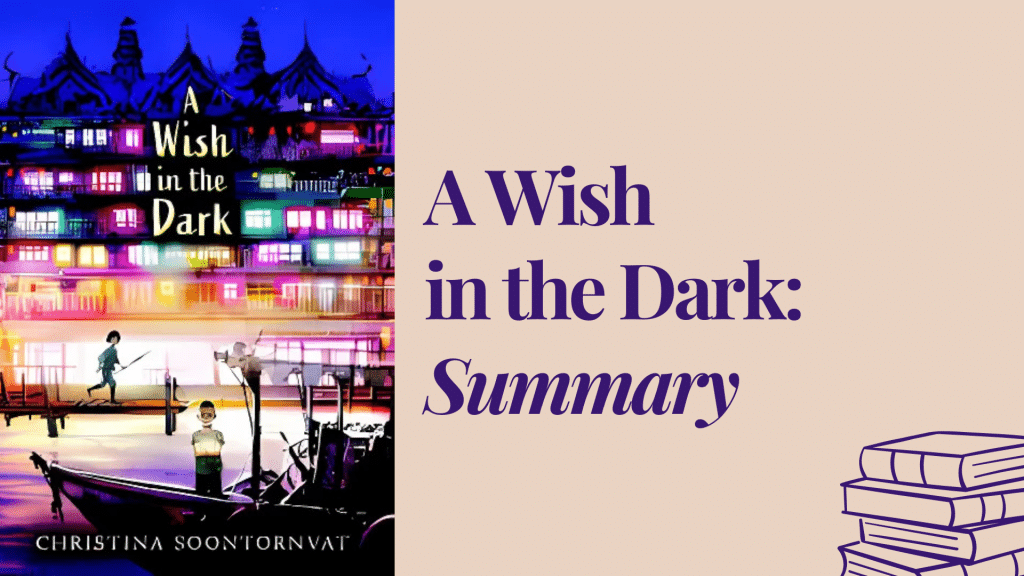 a wish in the dark summary