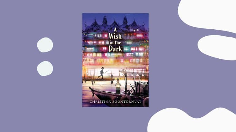 a wish in the dark summary