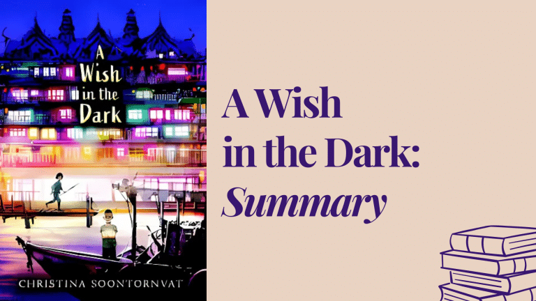 a wish in the dark summary