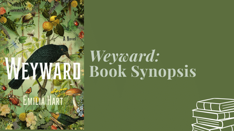 synopsis of weyward