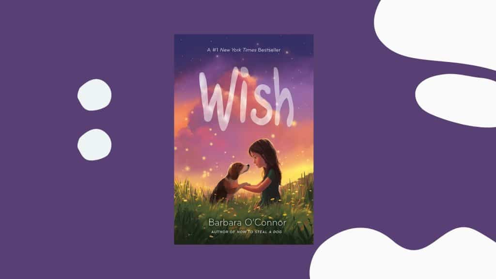 wish book summary