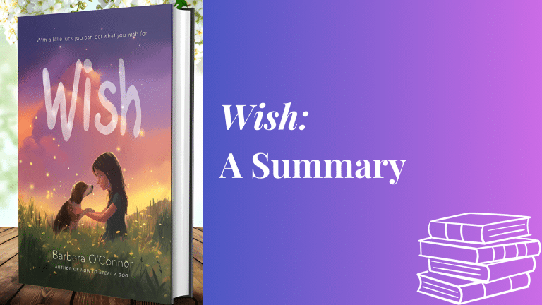 wish book summary